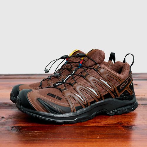 Salomon XA Pro 3D for and Wander in Brown