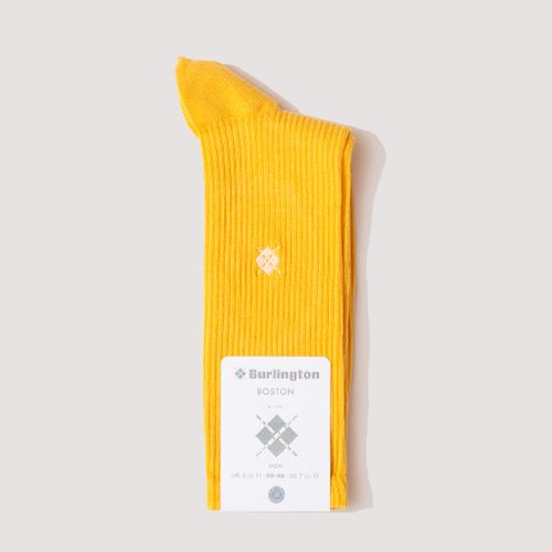 Boston Sock - Sun