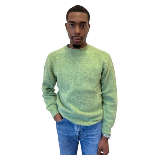 Harley of Scotland Brushed Wool Crew Neck- Springmeadow