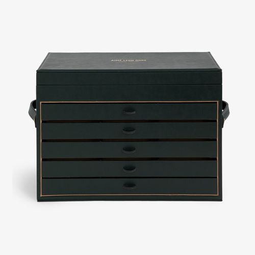 ALD Eyewear Display Case