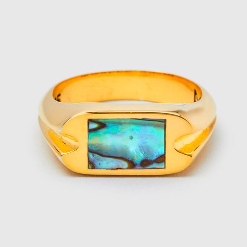 Danny Signet Ring in 14K Gold/Abalone Shell