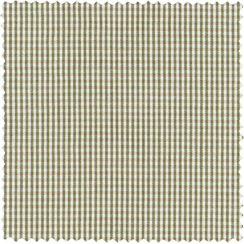 Green Archive Poplin Gingham