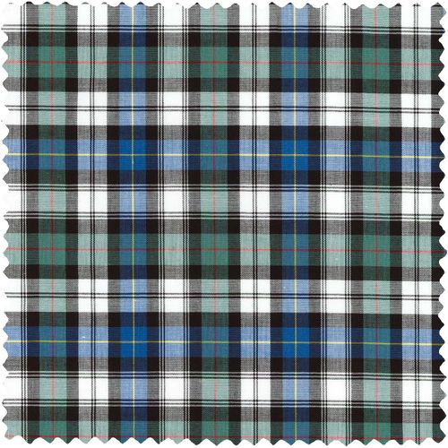 Daywatch Archive Poplin Check