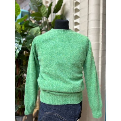 Harley Of Scotland Brushed Wool Crew Neck- Mint LA