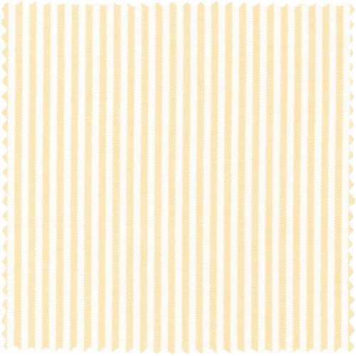 Yellow Stripe Spring Oxford