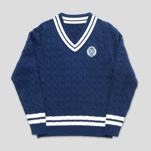 V Neck Cricket Sweater - Navy/white